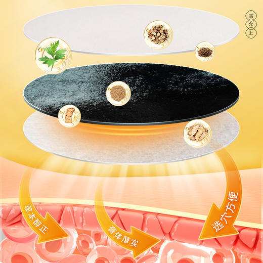 【斌哥优选】雷允上三伏贴 ，300年老字号。15贴/盒，草本植物制作，芳香清新。酷暑难耐，贴一贴，揪出体内老寒湿。 商品图3