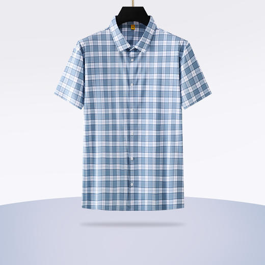 【新款DG】大依优型大码格子短袖衬衫加肥加大男装大号大码衬衣上衣男士绅士商务休闲半袖夏季 商品图0