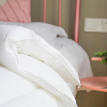 水星家纺被子冬季被子母被芯二合一纤维被褥约9.1斤220*240cm白 商品图2