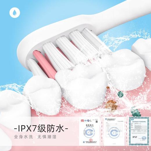 轻奢·小牛历险记！无线充电成人款 2刷头杜邦丝 磁悬浮无刷声波马达 电动牙刷 声波 商品图2