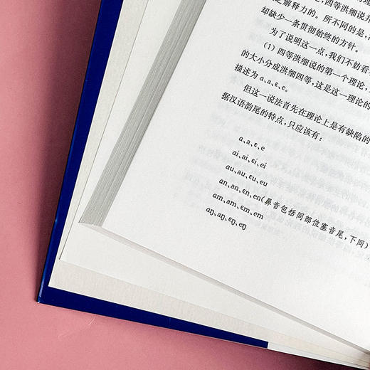 潘文国汉语论集 汉语研究 比较文学 商品图9