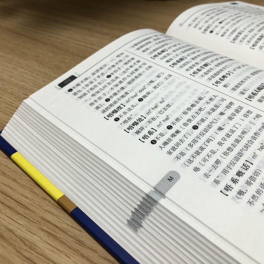 【广州话词典（第2版）】（精装）粤语学习助手 商品图5