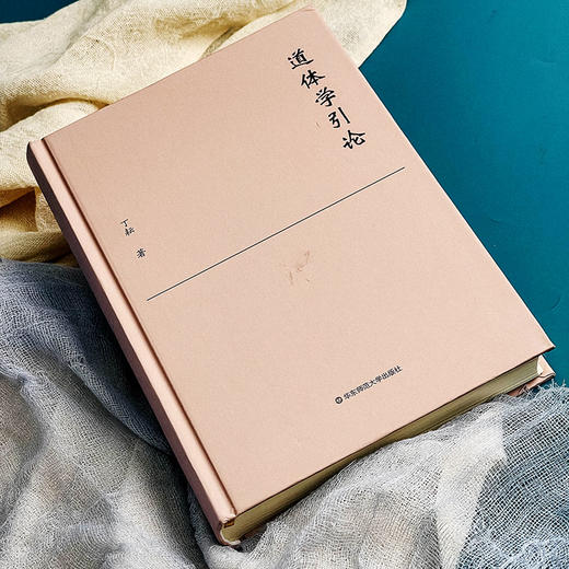 道体学引论 丁耘著 汉语学术研究 梳理中国哲学的义理脉络 商品图6