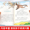 世界经典课外大阅读系列 彩图注音版 尼尔斯骑鹅旅行记 商品缩略图2