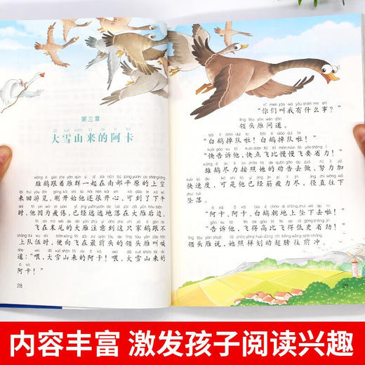 世界经典课外大阅读系列 彩图注音版 尼尔斯骑鹅旅行记 商品图2