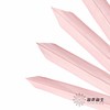 永生花材 | 棕榈叶粉色 商品缩略图2