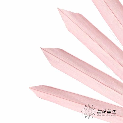 永生花材 | 棕榈叶粉色 商品图2