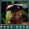 【AN】云南直发 新鲜牛肝菌 商品缩略图3