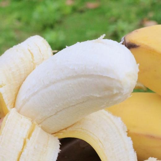 【福建苹果蕉 4.5-5斤 】| 蕉香浓郁，果型饱满，口感细腻，酸甜可口，每一口都是享受 商品图7