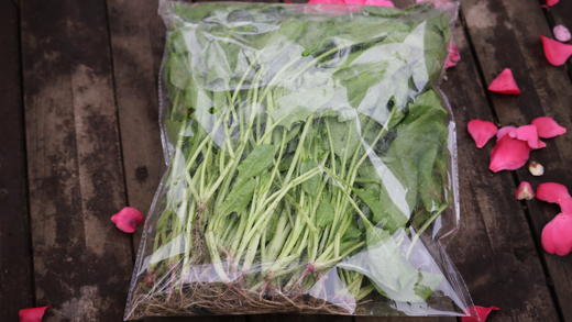 菠菜/老品种菠菜（400g）因季节原因，不用化肥的叶菜会略带苦味哦！ 商品图2
