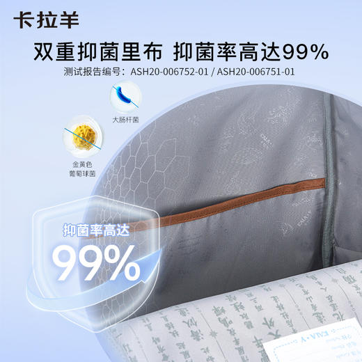 【云朵书包2.0PLUS版】卡拉羊中学生六维防下坠26L云朵书包 万物生 CX5000L 商品图7