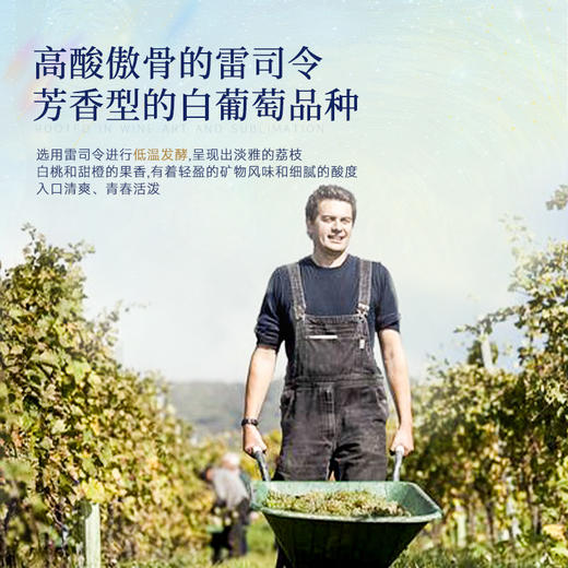【梵高星空星月夜纪念款】德国进口赫斯汀半甜雷司令 德国名区摩泽尔 11.5%vol 商品图5