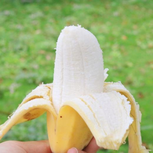 福建苹果蕉 商品图1