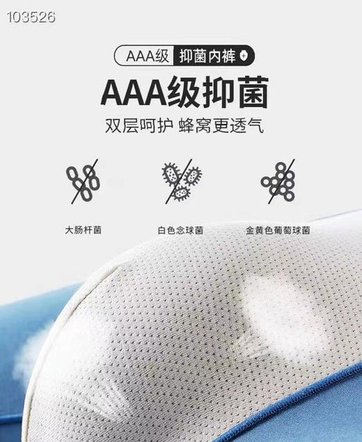 KG2456无痕亲肤莫代尔内裤 商品图3