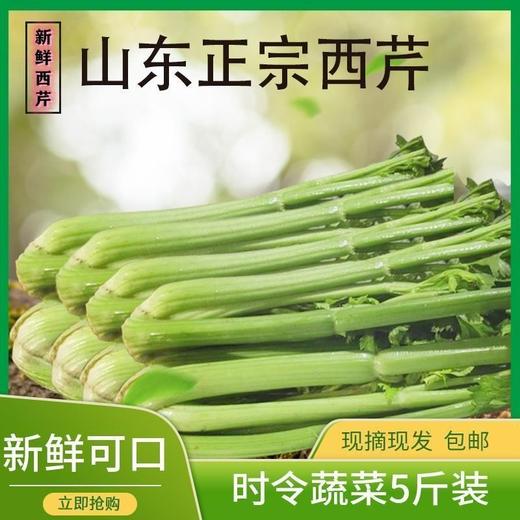 现摘特大山东正宗西芹  约5斤*箱 ✔ 新鲜现摘：清晨采摘，冷链速发，锁住水灵口感！ ✔ 营养爆表：富含膳食纤维+维生素K+钾，轻体又健康！ 商品图0
