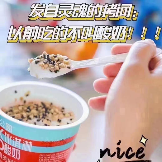 尼诺冰激凌酸奶 商品图1