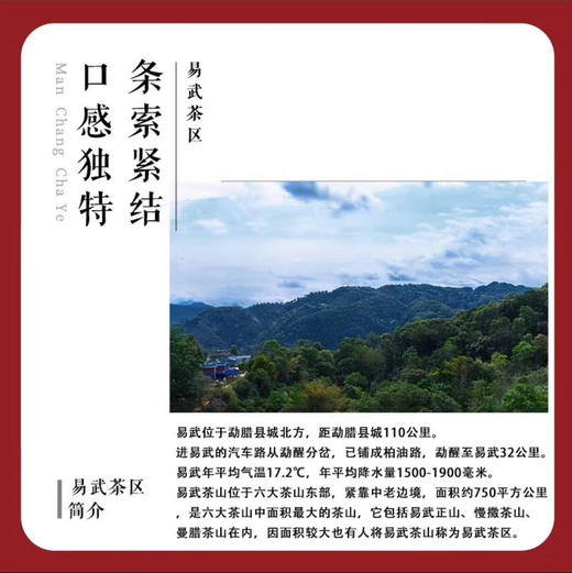 曼松金砖普洱150g 商品图2