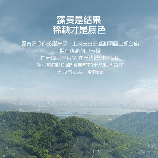 2026年新茶上市【无双礼盒】卢正浩无双明前精品级西湖龙井全手工绿茶茶叶礼盒装150克绿茶茶叶 商品图11