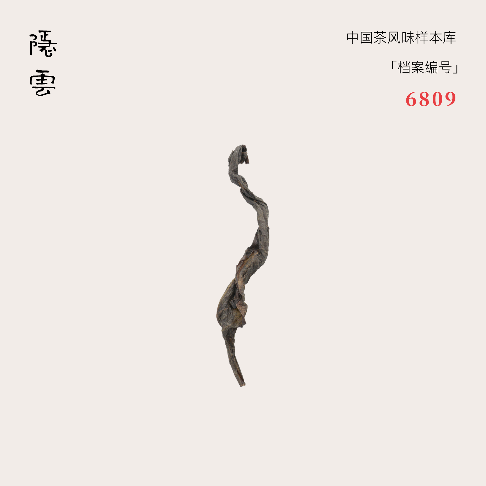 会仙｜2013年老丛梅占