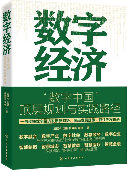 数字经济：“数字中国”顶层规划与实践路径 商品图0