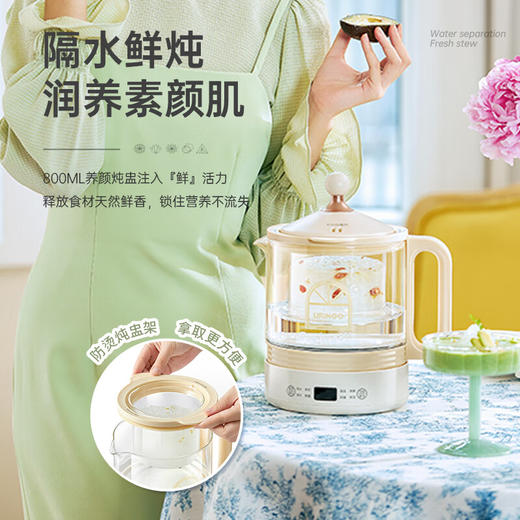 【七彩叮当YSH03养生壶】熬煮不糊底 滋养更便捷 商品图1