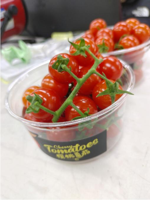 樱桃小番茄柿子一盒 商品图2