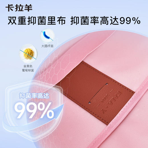 【云朵书包2.0PIUS版】卡拉羊小学生1-6年级18L/20L减负防下坠云朵书包  心远CX2207+CX2682 商品图5