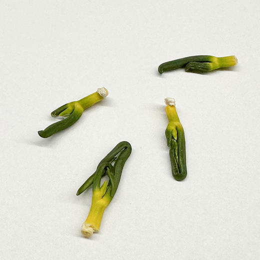 正耕 有机野生莲子芯70g 商品图3