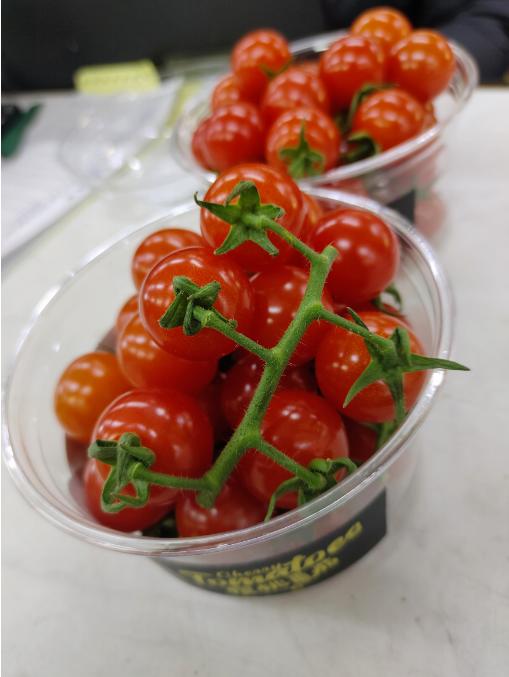 樱桃小番茄柿子一盒 商品图4