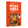 月光下的舞蹈家   野牛雷蒙在图书馆   二年级共读套装正版现货速发|名师推荐|小学生课外阅读课外读物2年级 商品缩略图4