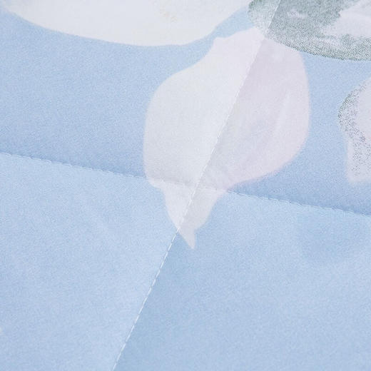 罗莱（LUOLAI）夏被空调被TG花舞忆梦花漾人生悦享绵柔薄荷假日纤维被 花语微澜夏被 150*200cm 商品图2