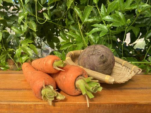 梓盟有机孩馋胡萝卜、梓盟有机甜菜根、有机瑞粉番茄 商品图4