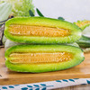 【羊角蜜甜瓜 】 甜瓜  2026年春季头茬 现摘现发 甜蜜多汁 个大饱满 商品缩略图4