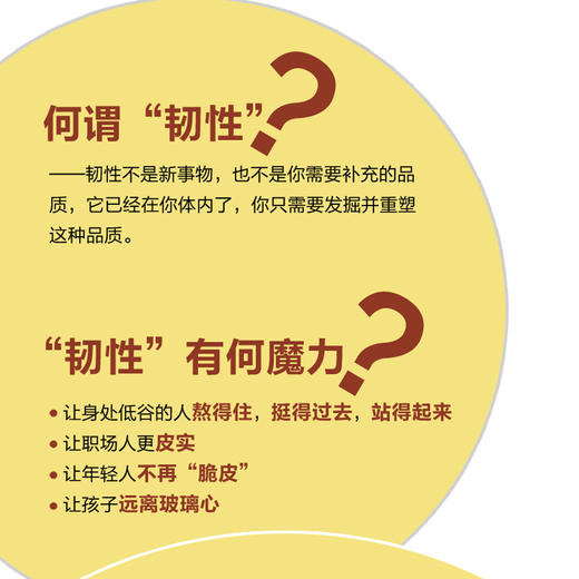 你的韧性*乎你的想象 心理韧性研究成果高韧性品质逆商培养心理学书籍个人成长 商品图3