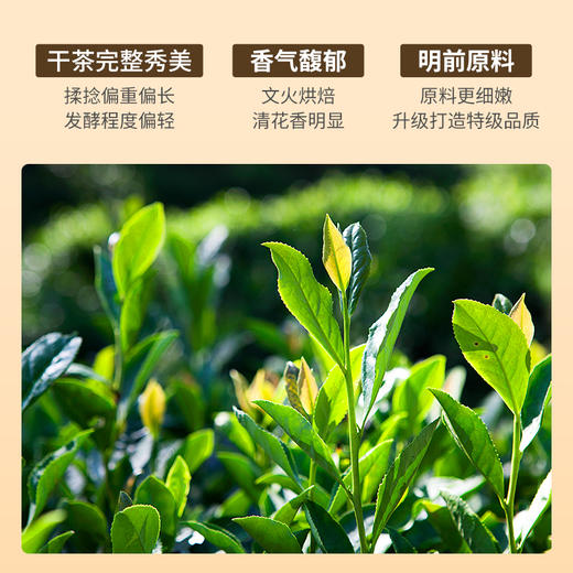 祥源茶丨山茶向晚 特级祁红毛峰 祁门红茶 100g 商品图1