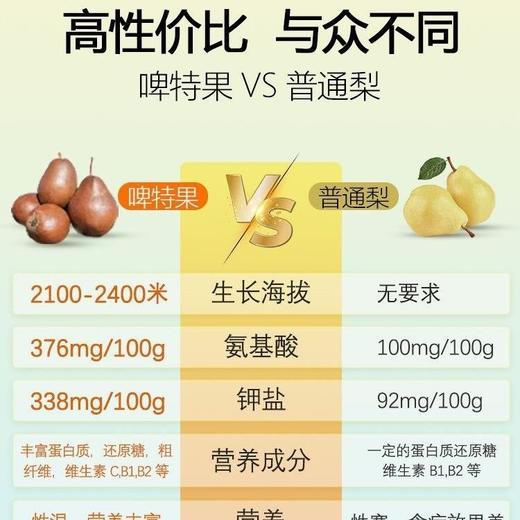 临夏伊珍源啤特果 250ML/盒*10盒装 全国包邮 商品图10