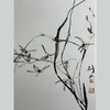 方楚雄教学示范 菊 商品缩略图3