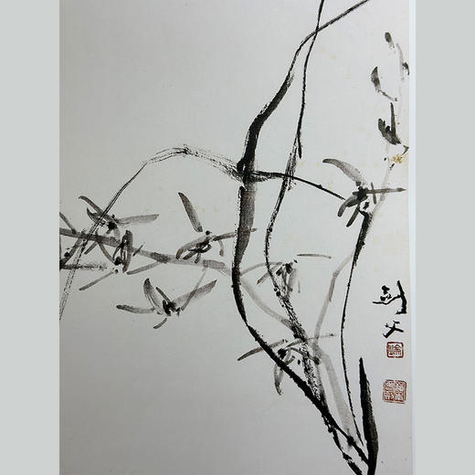 方楚雄教学示范 菊 商品图3