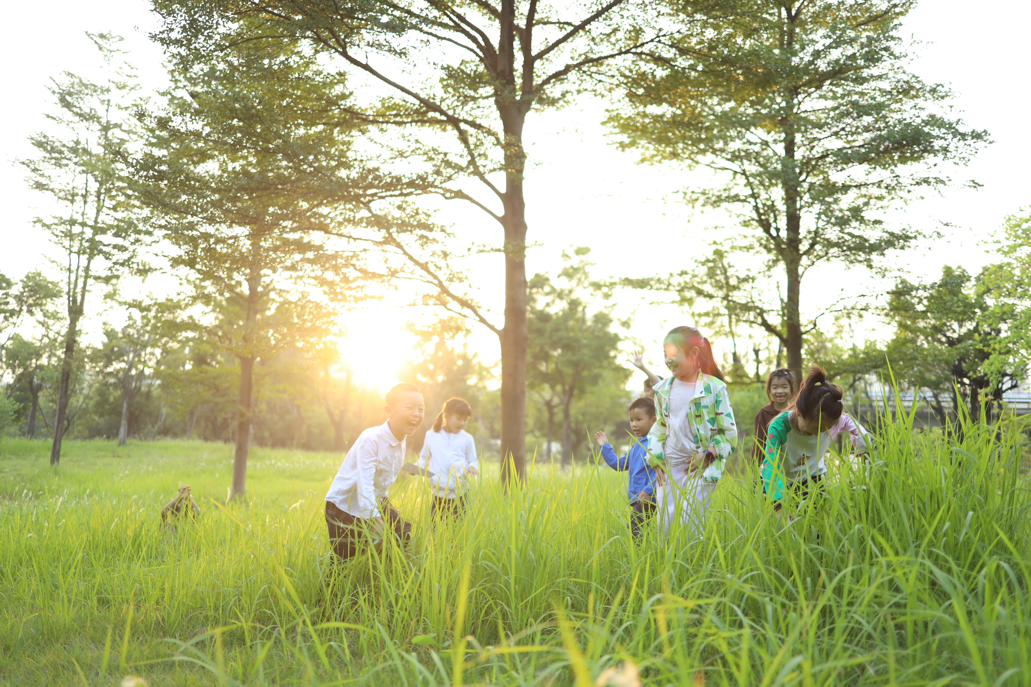 博物430 | 小学生的自然一小时（7人以上团）