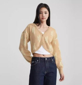 CKJ女士毛衫J222941