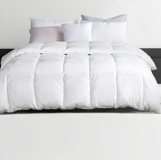 匈牙利白鹅绒冬厚被 商品图0