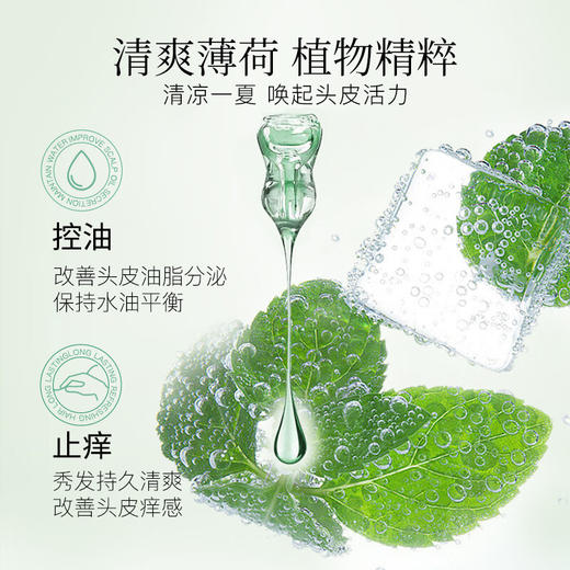 蓬派（CLAYNAL）洗发水控油止痒清爽薄荷洗头膏450ml   （1309） 商品图4