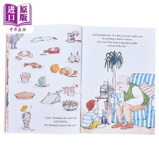 【中商原版】开学季主题绘本4册 英文原版 吹爵士乐的狗Jazz Dog 雨中的旋律The Rhythm of the Rain 仙子的花园The Fairy Garden 荒野WILD 商品图4