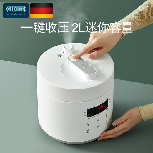 OIDIRE电压力锅ODI-YLG01 商品图3