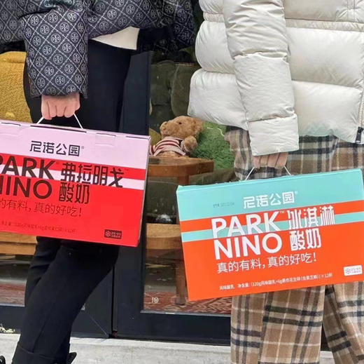 尼诺冰激凌酸奶 商品图4