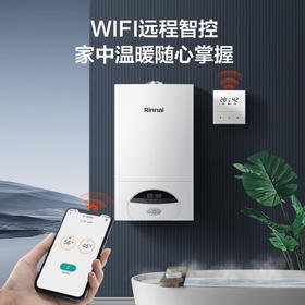 林内/壁挂炉/RBS-24C30(L)