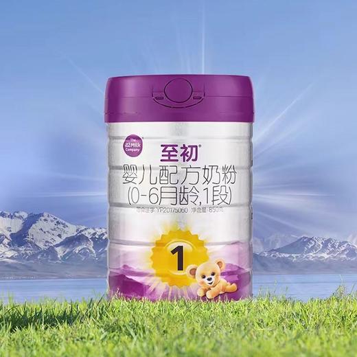 【国行版】A2至初白金1段900g（新国标新效期6罐装） 商品图2