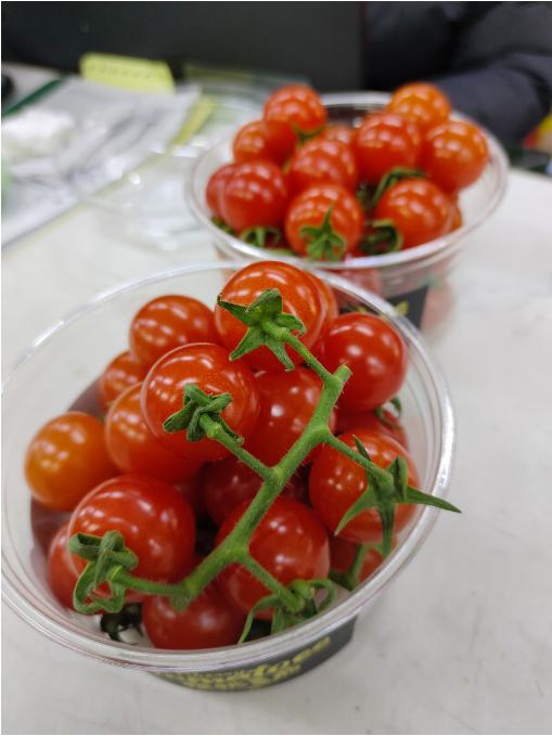 樱桃小番茄柿子一盒 商品图3