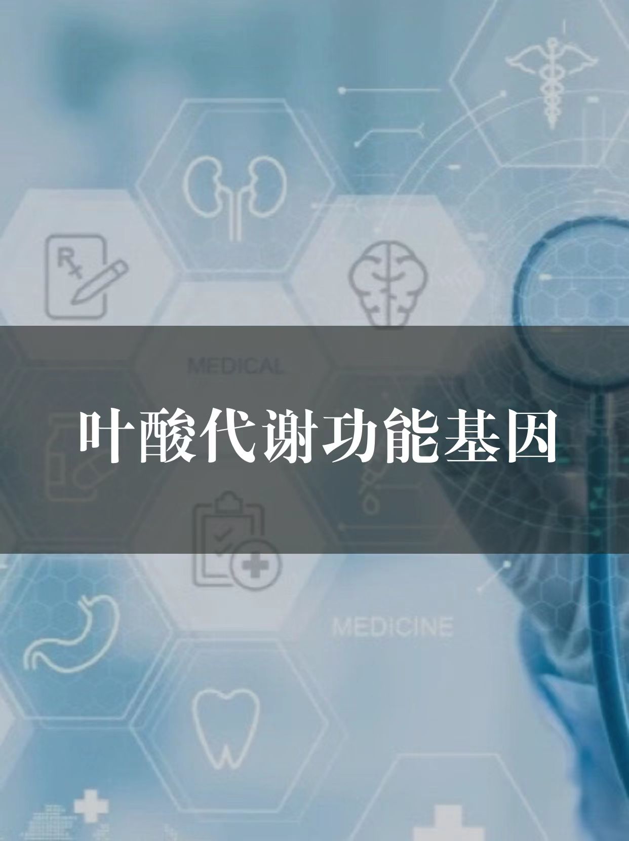 叶酸代谢功能基因组学检测（干血片）检测服务