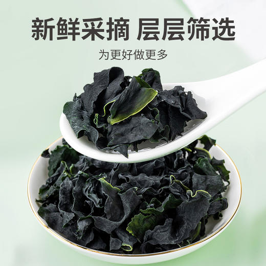 干裙带菜叶150g/袋装 商品图3